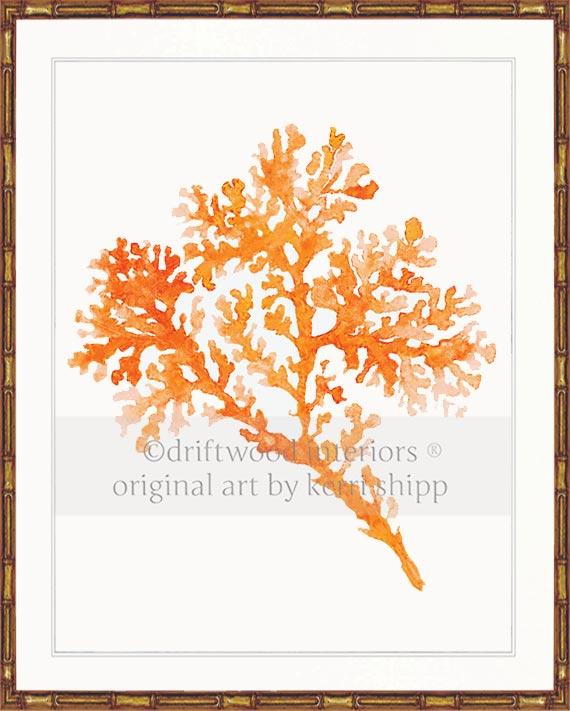 Seagrass in Tangerine