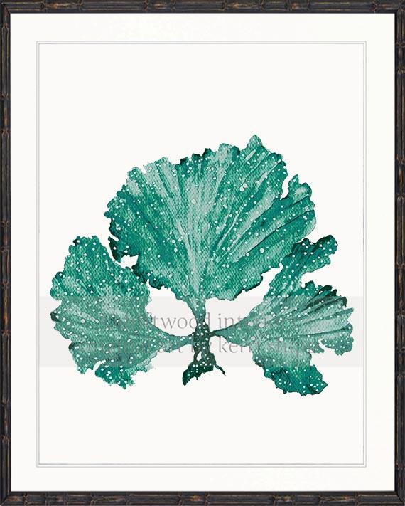 Seaweed II in Emerald