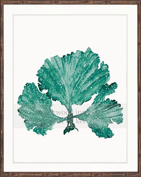 Seaweed II in Emerald