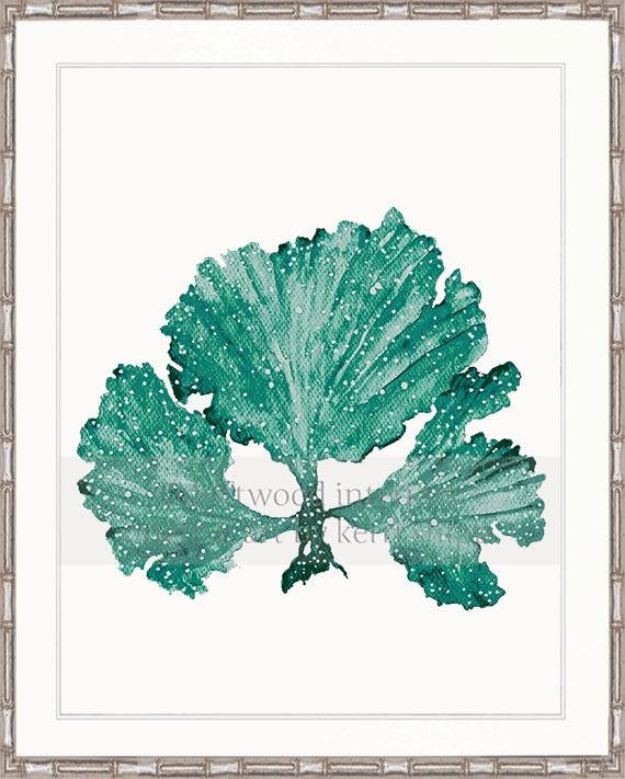 Seaweed II in Emerald