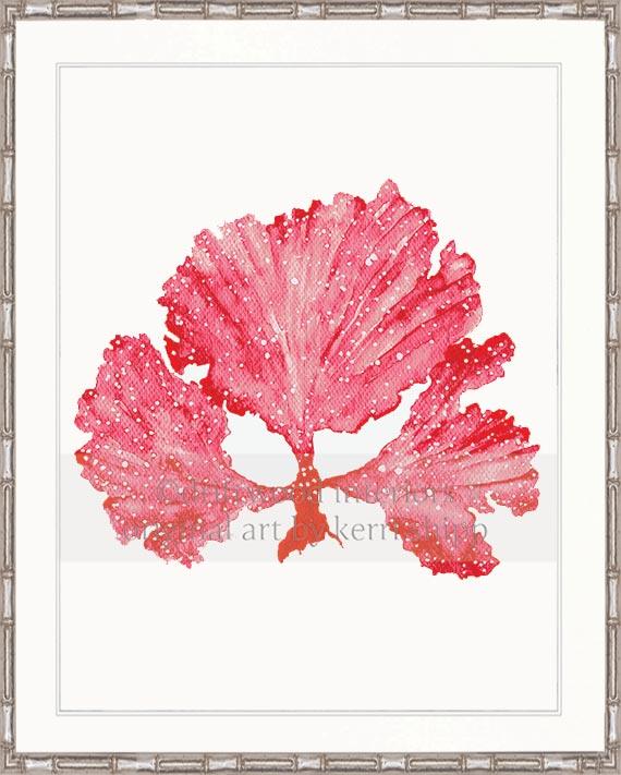 Wall Art Prints | Seaweed II in Ruby Coral Artwork in silver bamboo frame Driftwood Interiors