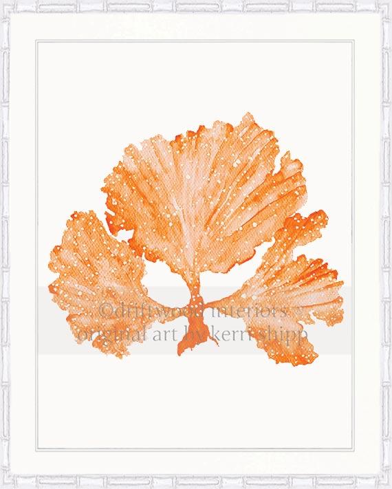 Seaweed II in Tangerine