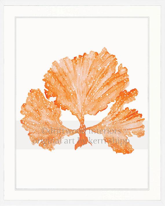 Seaweed II in Tangerine