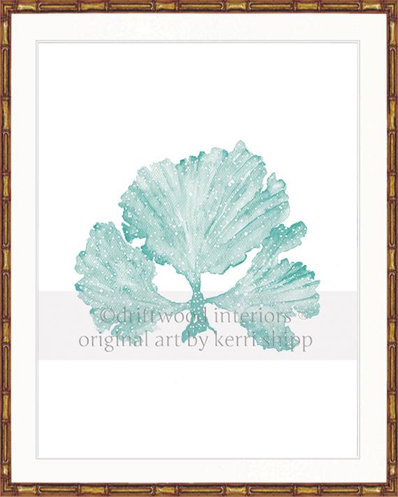 Seaweed II in Woodlawn