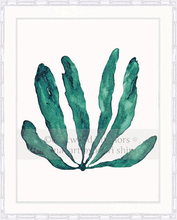 Wall Art Print - Seaweed III in Emerald Green in white bamboo frame - Driftwood Interiors