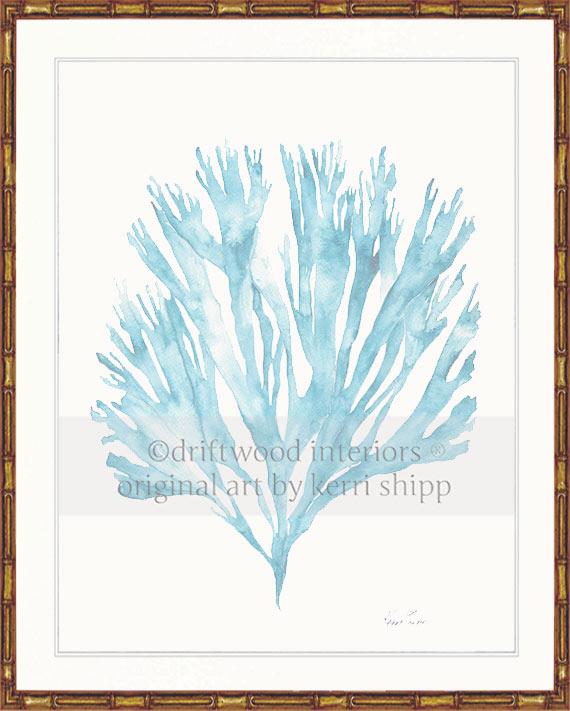 Sea Fan V in French Blue