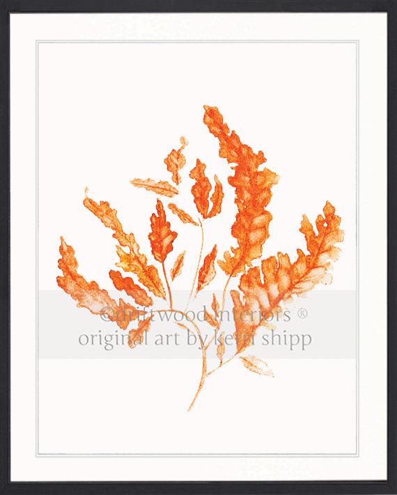 Seaweed in Tangerine