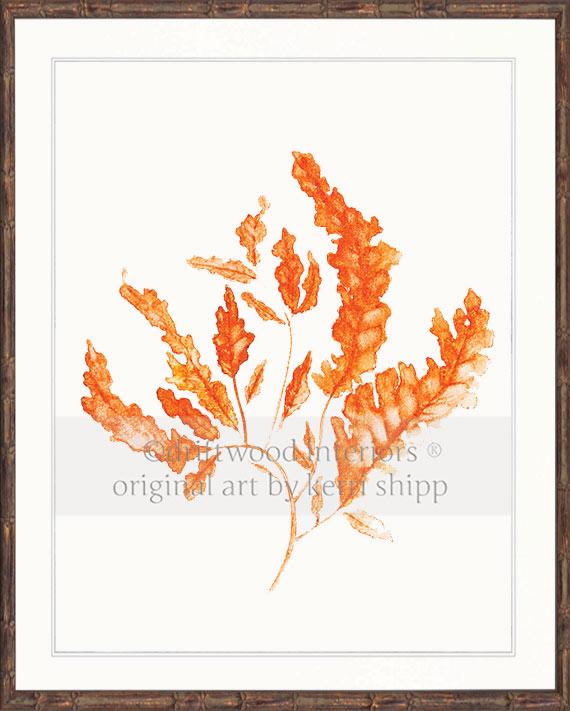 Seaweed in Tangerine