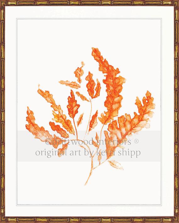 Seaweed in Tangerine