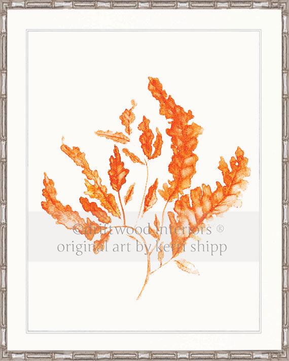 Seaweed in Tangerine