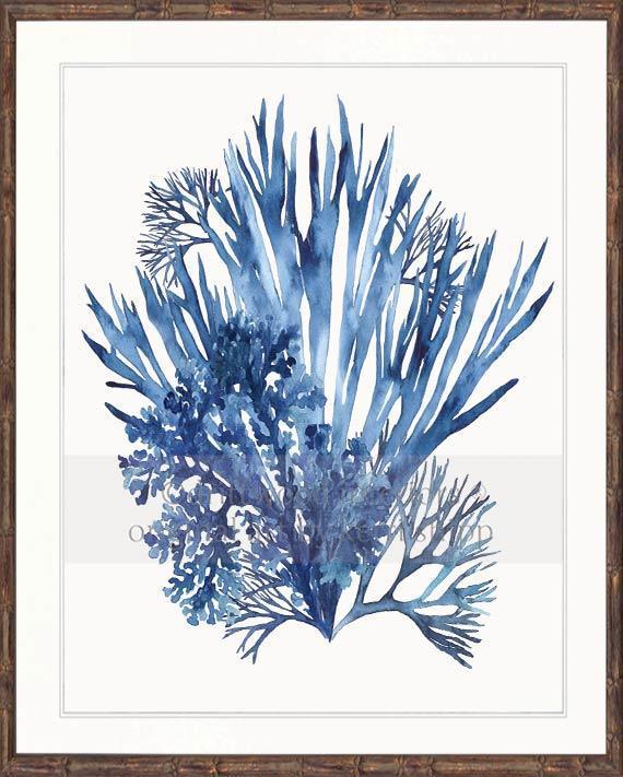 Coral Wall Art Print - Seaweed Collage III in Blue - Driftwood Interiors