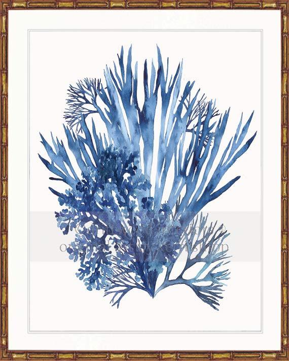 Coral Wall Art Print - Seaweed Collage III in Blue
