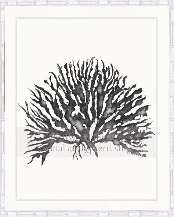 Sea Coral IV in Charcoal - Driftwood Interiors