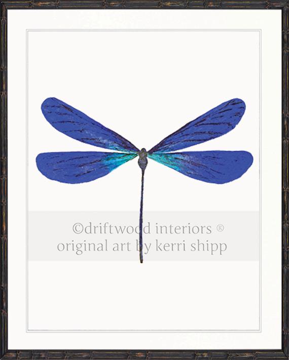 Dragonfly in Cobalt