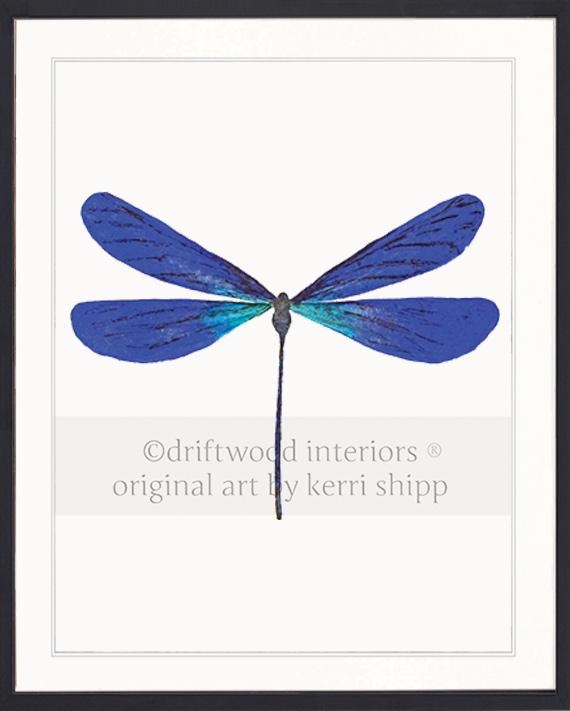 Dragonfly in Cobalt