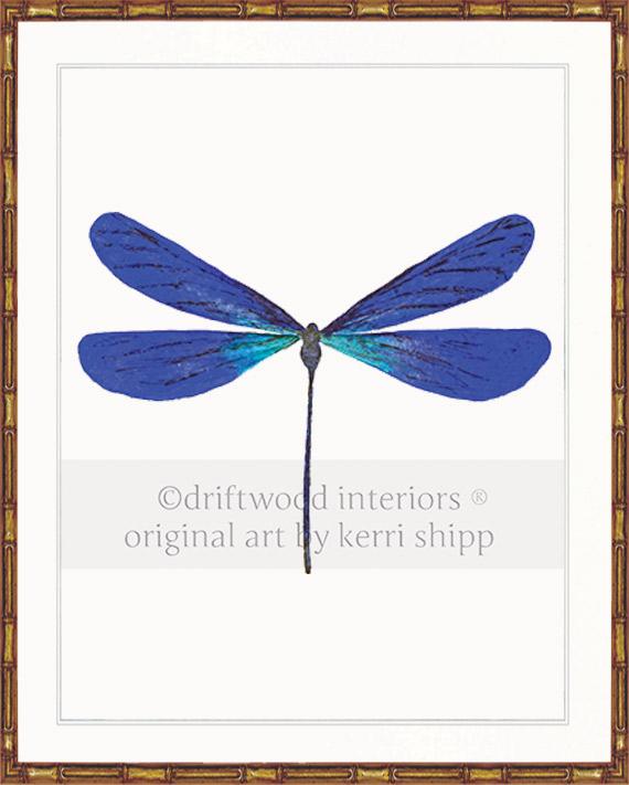 Dragonfly in Cobalt