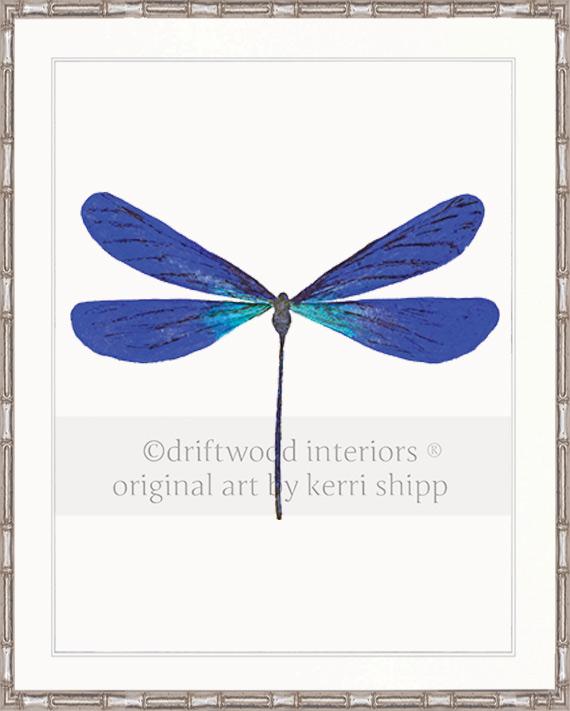 Dragonfly in Cobalt