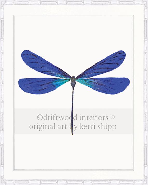 Dragonfly in Cobalt