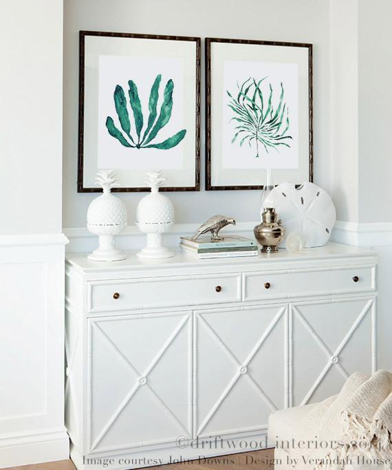 Wall Art in Bedroom - Seaweed Prints in Green by Kerri Shipp Driftwood Interiors