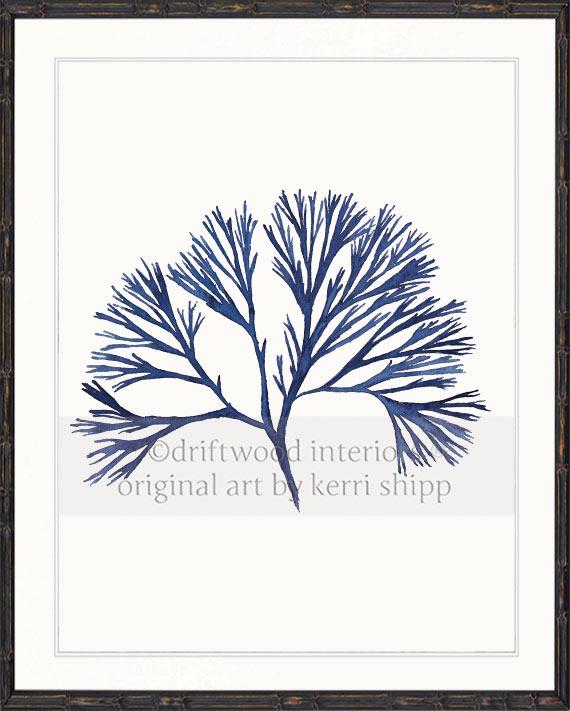 Coral Wall Art Print - Tree Coral I in Denim
