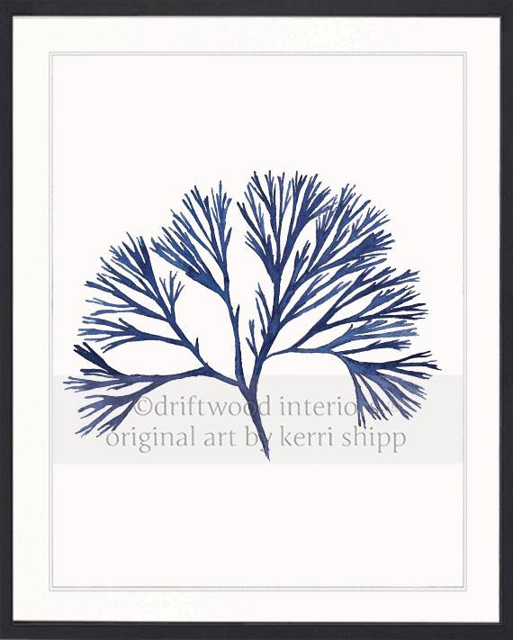 Coral Wall Art Print - Tree Coral I in Denim
