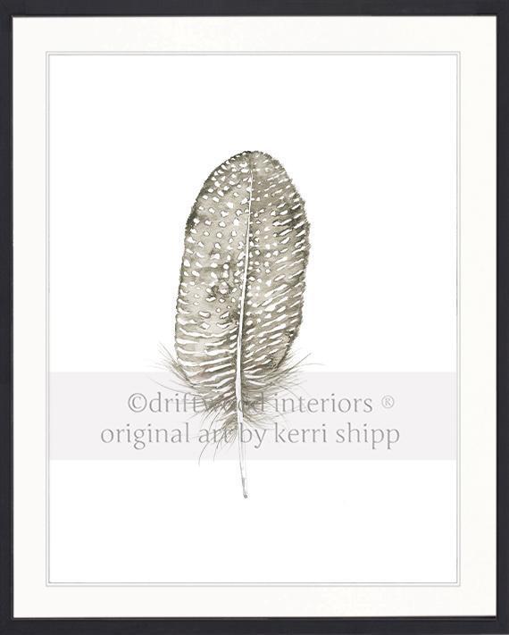 Spotted Dove Feather - Driftwood Interiors