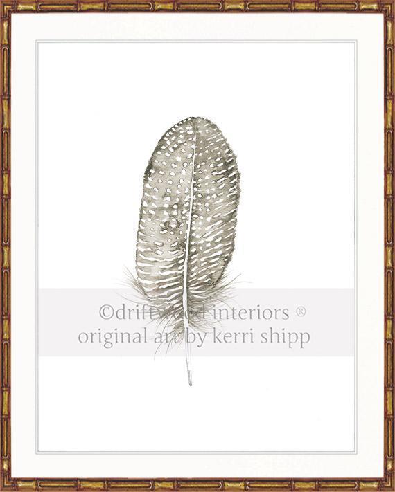 Spotted Dove Feather - Driftwood Interiors
