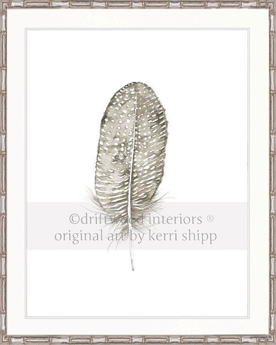 Spotted Dove Feather - Driftwood Interiors