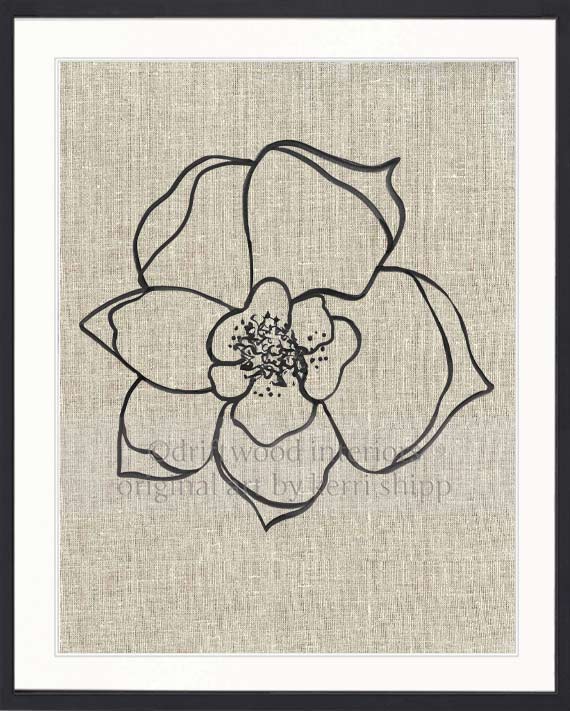 Line Drawing Art Print - Lineal Bloom II