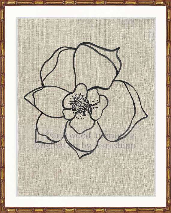 Line Drawing Art Print - Lineal Bloom II
