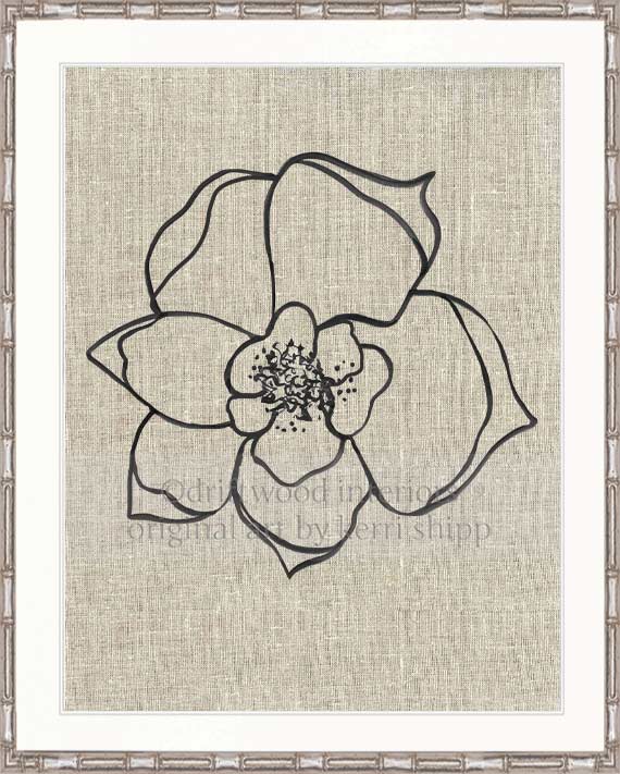 Line Drawing Art Print - Lineal Bloom II