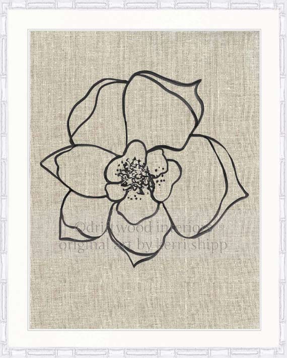 Line Drawing Art Print - Lineal Bloom II