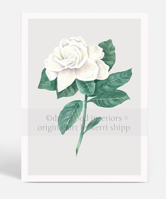Gardenia Flower Print by Kerri Shipp with antique background - Driftwood Interiors
