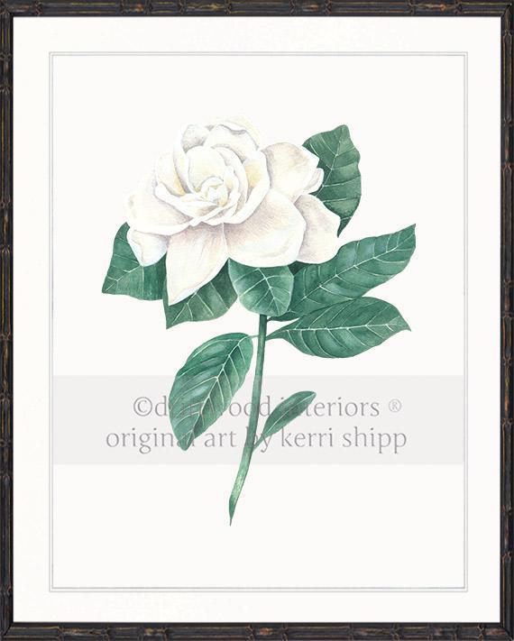 Wall art print - Gardenia Flower Print white background in black Bamboo Frame Driftwood Interiors