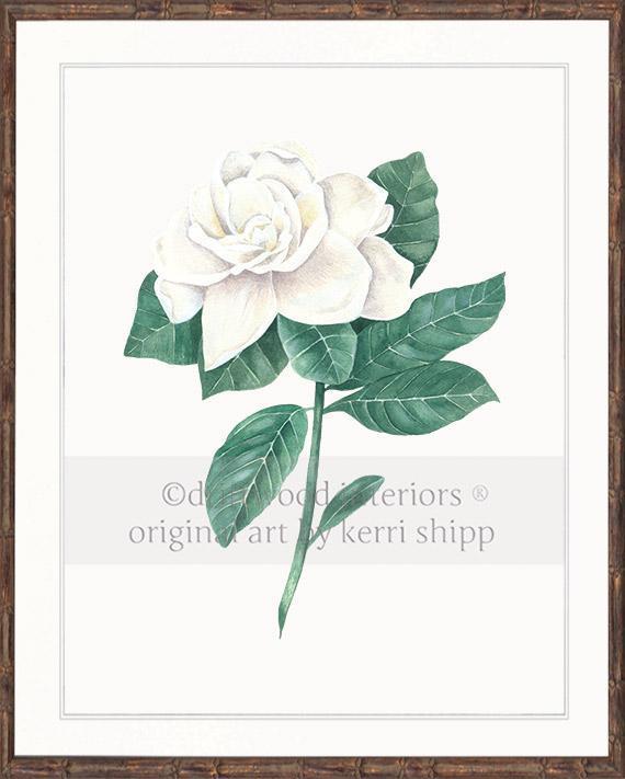 Wall art print - Gardenia Flower Print white background in brown Bamboo Frame Driftwood Interiors