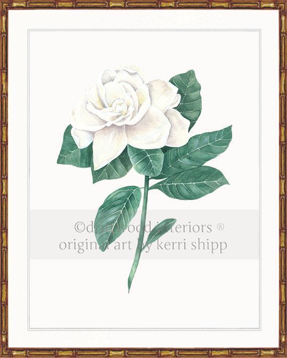 Wall art print - Gardenia Flower Print white background in gold Bamboo Frame Driftwood Interiors