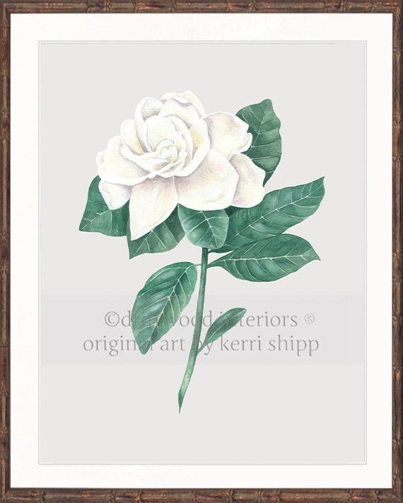 Wall art print - Gardenia Flower Print on antique background brown Bamboo Frame Driftwood Interiors