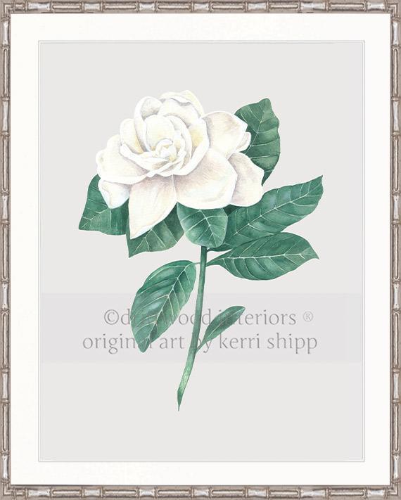Wall art print - Gardenia Flower Print on antique background Silver Bamboo Frame Driftwood Interiors