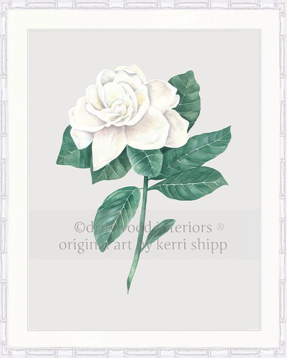 Wall art print - Gardenia Flower Print antique background in white Bamboo Frame Driftwood Interiors