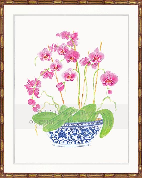 Pink Orchids in Vintage Blue