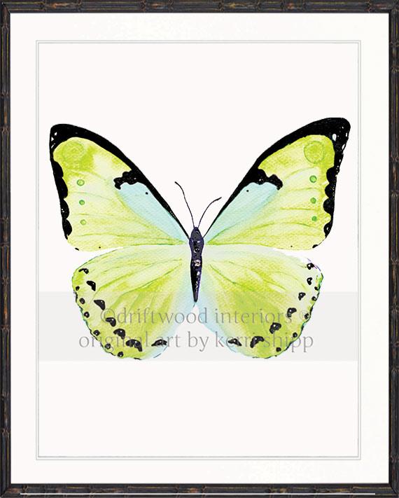 Butterfly in Green - "Papillon Verte"