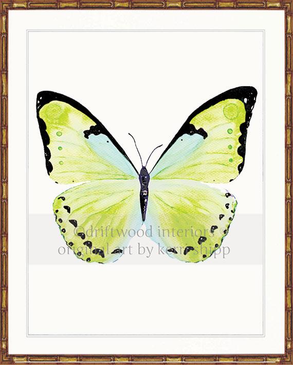 Butterfly in Green - "Papillon Verte"