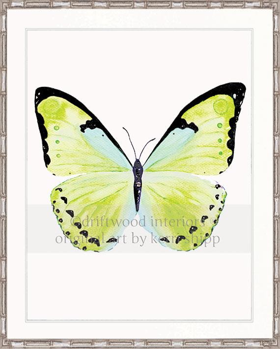 Butterfly in Green - "Papillon Verte"