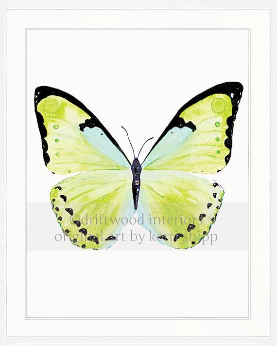 Butterfly in Green - "Papillon Verte"
