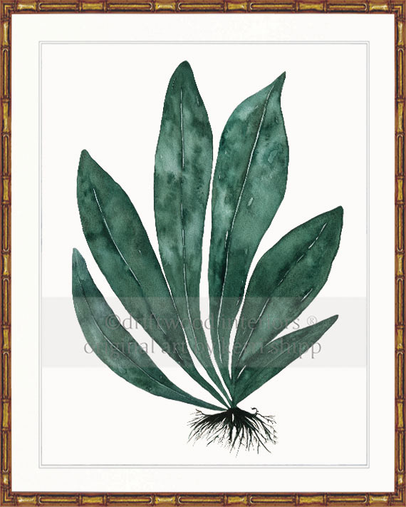 Tropical Leaf Print - Eden Foliage I in Dark Green