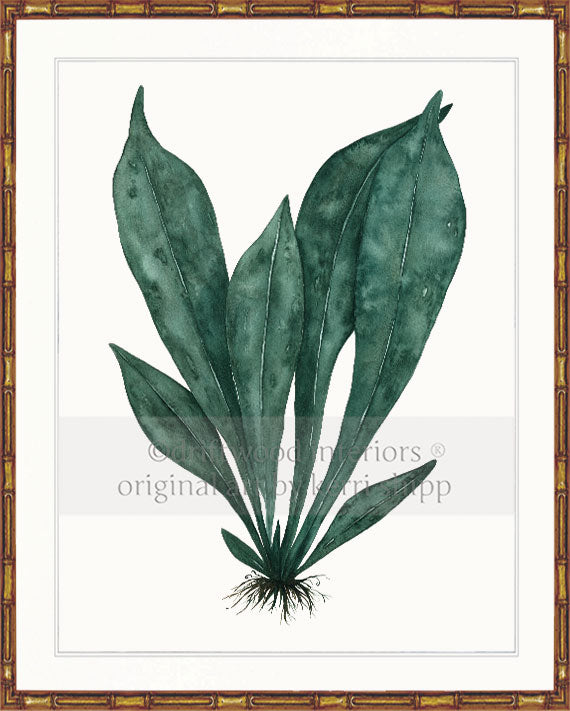 Wall art print of green tropical leaves in gold bamboo frame Kerri Shipp Driftwood Interiors