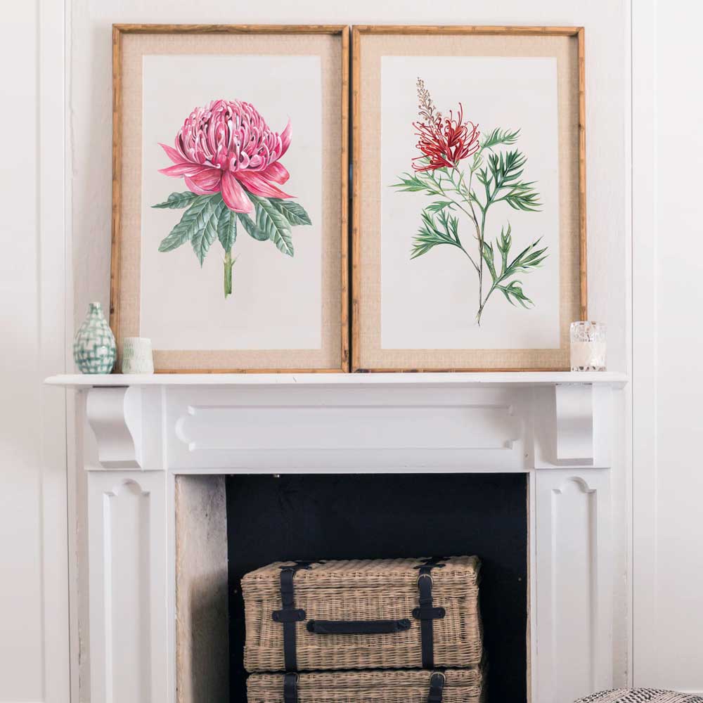 Waratah I - Floral Wall Art Print