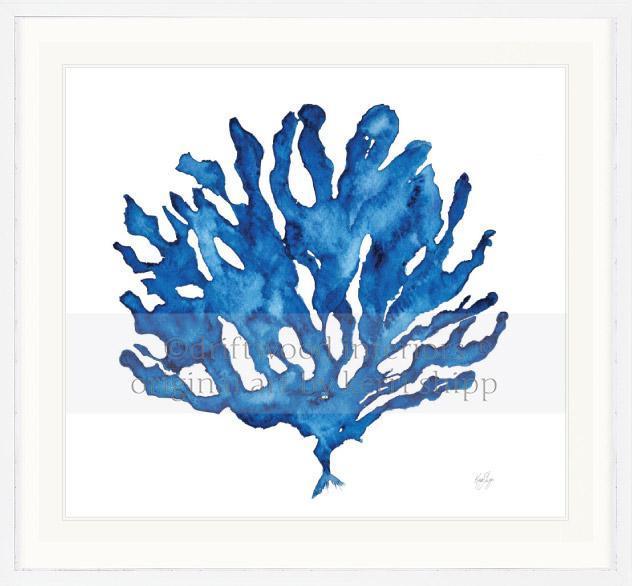 Indigo Coral III - Kerri Shipp for Designer Boys - Driftwood Interiors