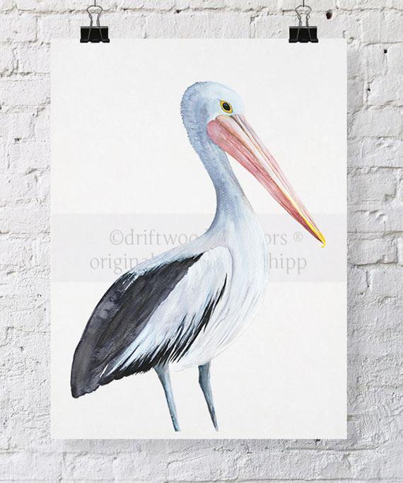 Pelican Bird Print - Driftwood Interiors