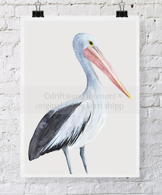 Pelican Bird Print - Driftwood Interiors